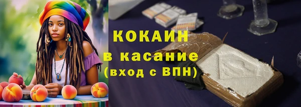 spice Козельск