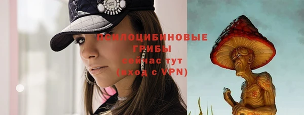 spice Козельск